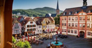 Single Neustadt an der Weinstraße Treffen