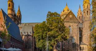 Single Worms Treffen